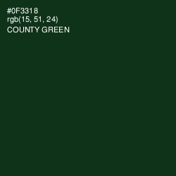 #0F3318 - County Green Color Image